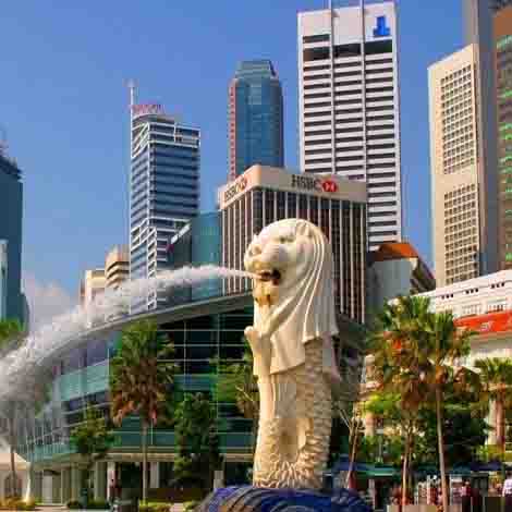 Singapore package of Travefly